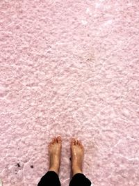 Low section of person standing on pink land