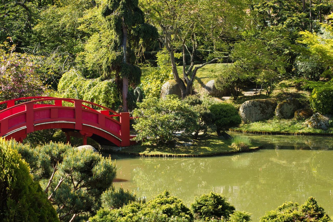 BRIDGE OVER RIVER BY TREES