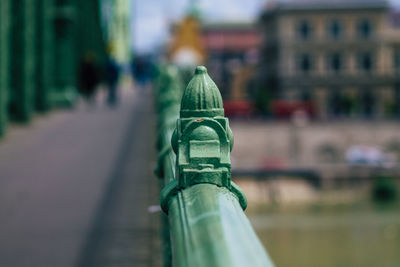 Close-up of green leaf on street against building