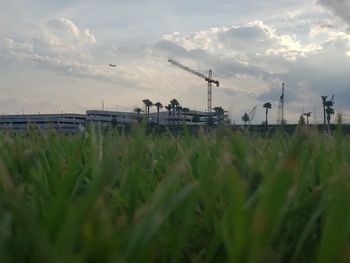 Panoramic view of agricultural field against sky