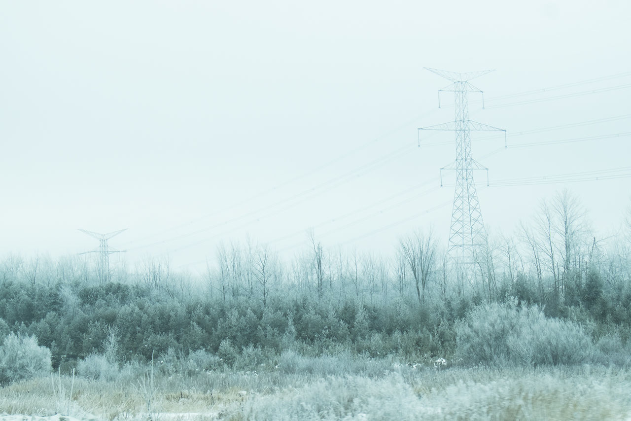 winter, snow, cold temperature, weather, tree, tranquility, power line, season, tranquil scene, landscape, clear sky, nature, field, electricity pylon, beauty in nature, covering, scenics, electricity, non-urban scene