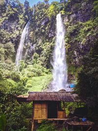 View of waterfall in forest