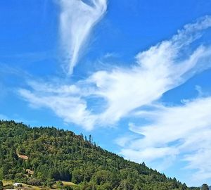 Scenic view of landscape against cloudy sky