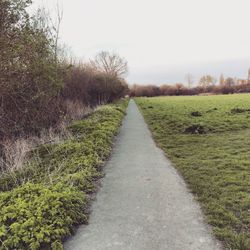 Footpath leading towards grassy field