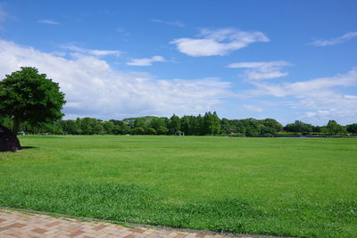 Scenic view of field against sky