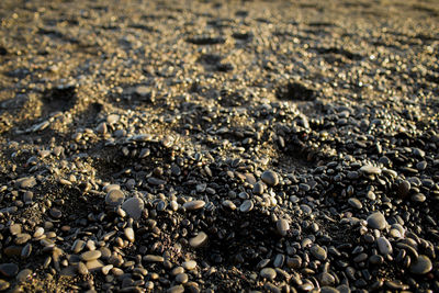 High angle view of pebbles on beach