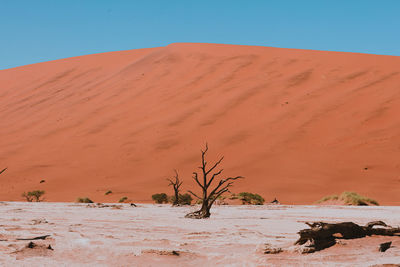 Scenic view of desert against clear sky in namibia