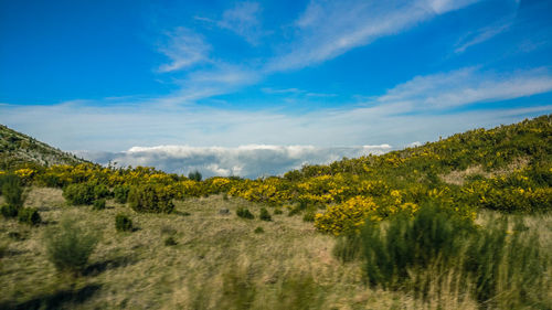 Scenic view of landscape against sky