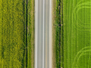 Full frame shot of agricultural field