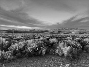 Scenic view of landscape against cloudy sky