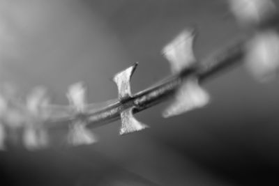Close-up low angle view of sky