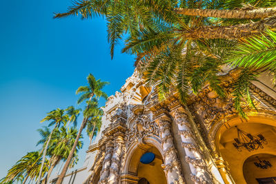 Low angle view of palm trees against sky