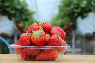 Close-up of strawberries in bowl on table