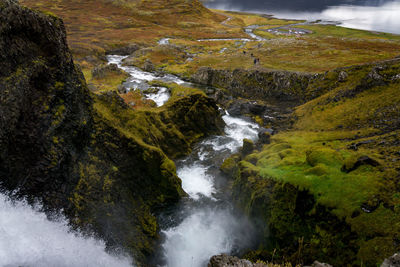 Scenic view of waterfall in forest