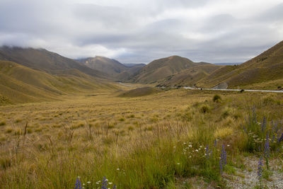 landscape