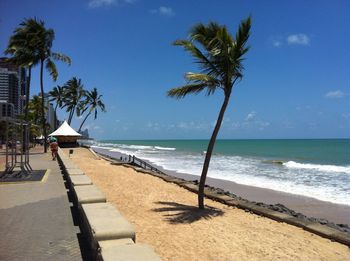 Scenic view of beach against clear sky