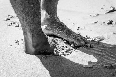 Low section of woman on beach