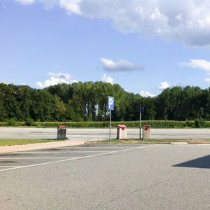Empty road with trees in background
