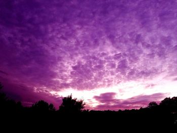 Silhouette trees against sky at night