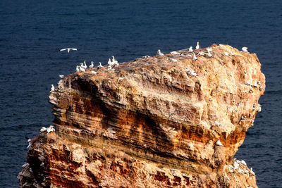 Scenic view of sea