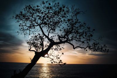 Silhouette tree by sea against sky during sunset