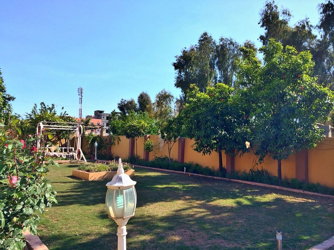 tree, clear sky, blue, grass, green color, building exterior, built structure, growth, sunlight, street light, park - man made space, plant, sky, nature, architecture, chair, outdoors, copy space, day