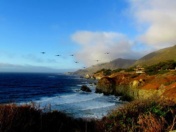 Flock of birds flying over sea against blue sky