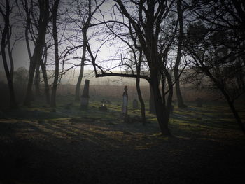 Bare trees on landscape against sky