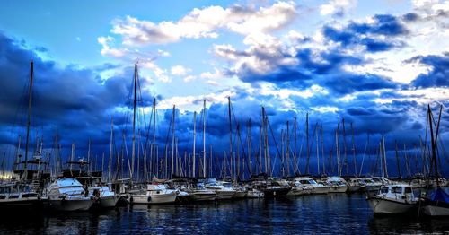 Sailboats moored in harbor