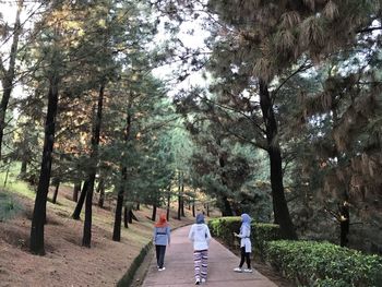 Rear view of people walking on footpath amidst trees