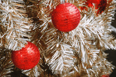 Close-up of christmas tree