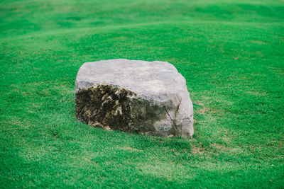 Close-up of stone on rock