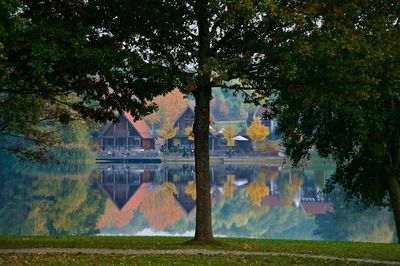 Reflection of trees in lake during autumn