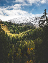 Scenic view of trees and mountains against sky