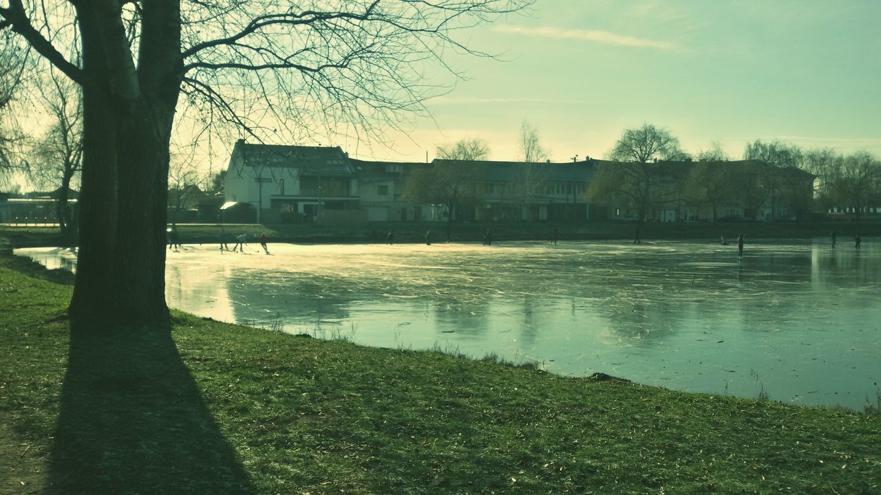 water, tree, building exterior, architecture, built structure, grass, sky, lake, river, reflection, nature, bare tree, tranquility, growth, tranquil scene, lakeshore, day, sunlight, riverbank, outdoors