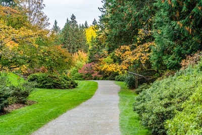 A path at the washington park arboretum in seattle. it is the fall season.