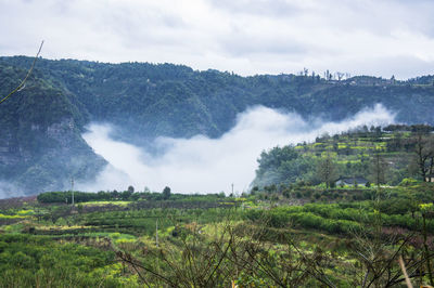 Panoramic view of landscape against sky