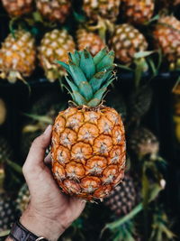 Cropped hand of person holding pineapple