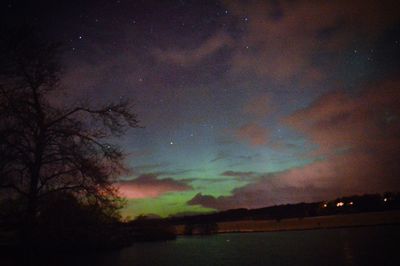 Silhouette of trees against sky at night
