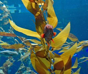 Close-up of insect on flower