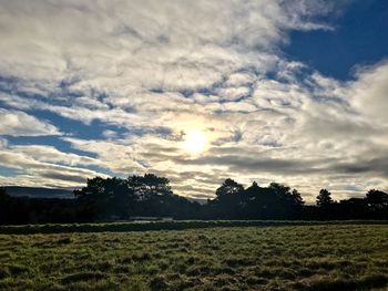 Silhouette trees on field against sky at sunset