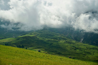 Scenic view of green landscape