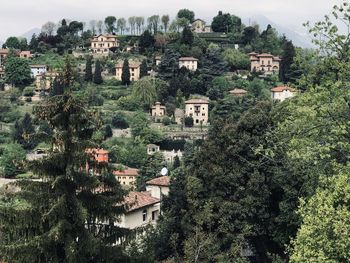 High angle view of townscape and trees in town