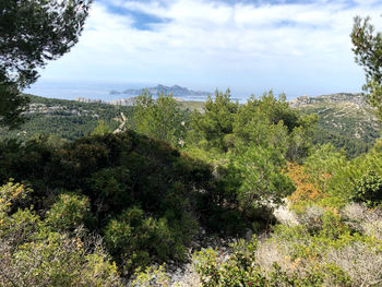 High angle view of trees on landscape against sky