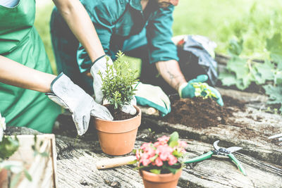 Midsection of woman holding potted plant