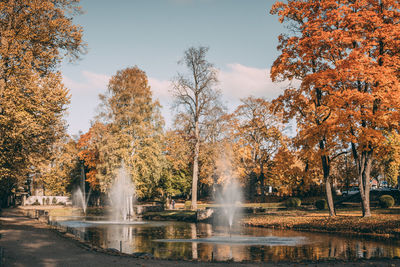 Trees in park against sky during autumn