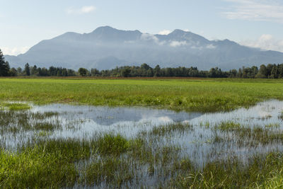 natural environment