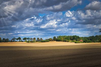 Scenic view of field against sky