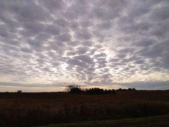 Scenic view of field against sky during sunset