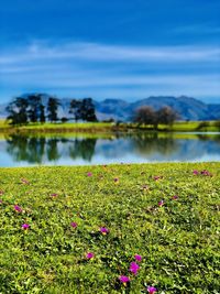 Scenic view of lake against cloudy sky